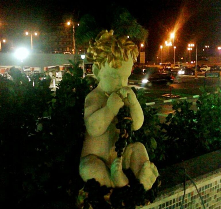 WhatsApp Image 2026 03 31 at 10 10 03 AM 768x724